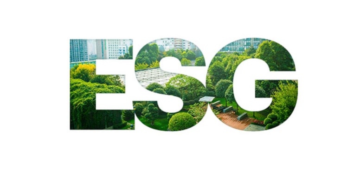 UM OLHAR ESTRATÉGICO SOBRE A AGENDA ESG
